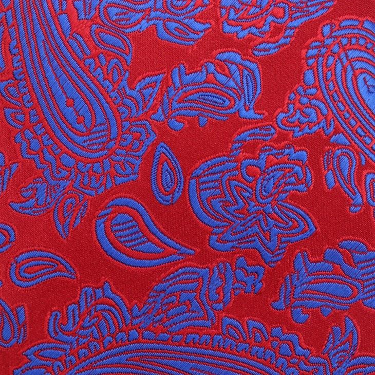 Vintage Paisley Tie
