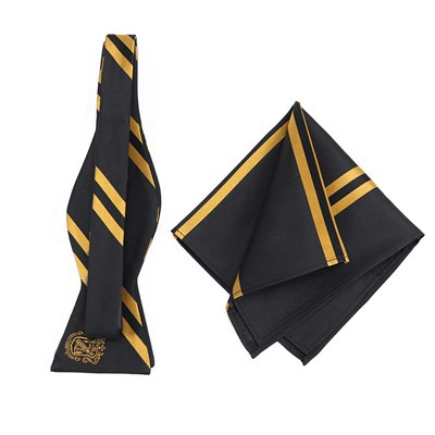 ম্যাচিং পকেট স্কোয়ারের সাথে বো টাই